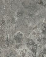 S62024 S62024