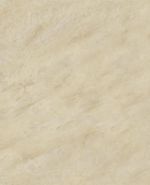 S62021 S62021