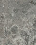 S62024 S62024