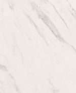 S63051 S63051
