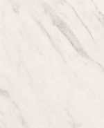 S63051 S63051