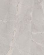 S63053 S63053