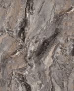 S63055 S63055