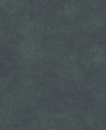 S68029 S68029