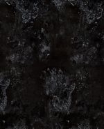 S68053 S68053